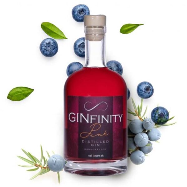 GINfinity Pink 0,5L